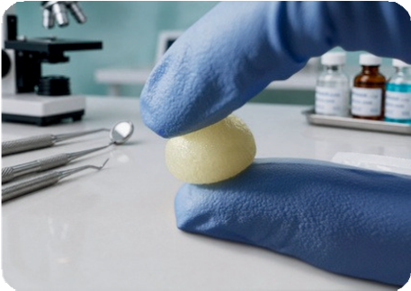 Bone Putty <span>FDBA</span>